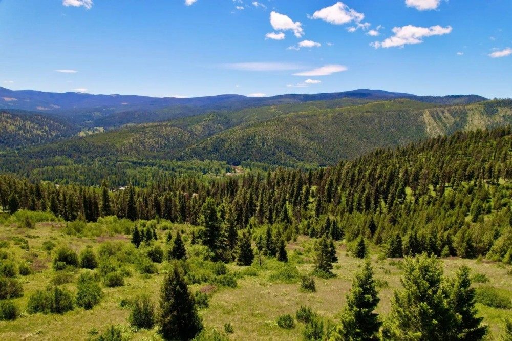 Vital Blackfoot Valley Vision featured image