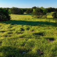 Stocker Ranch images 2