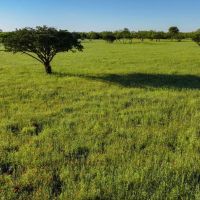 Stocker Ranch images 3