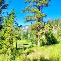 Supreme Mountainside Getaway images 2