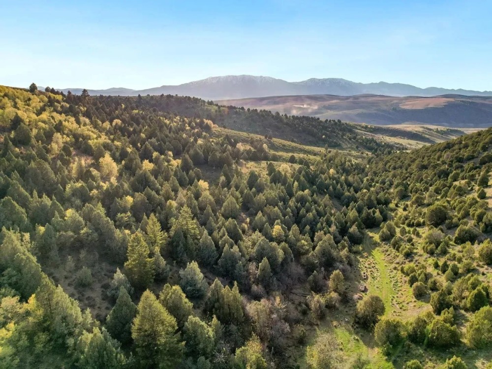 Jenkins Canyon Ranch featured image