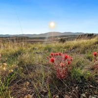 Jenkins Canyon Ranch images 2