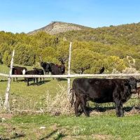 Jenkins Canyon Ranch images 4