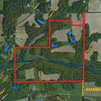 10967 E 700th Ave Watson IL