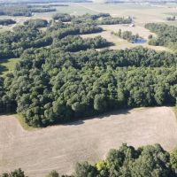 10967 E 700th Ave Watson IL images 2