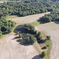 10967 E 700th Ave Watson IL images 3