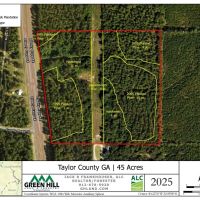 Buck Creek Hill Plantation 45 Acres images 2