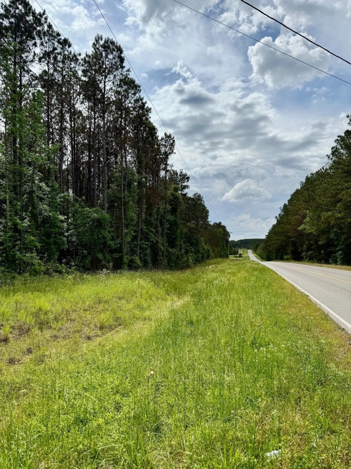 16.98 Acres in Winston County MS featured image
