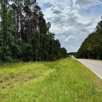 16.98 Acres in Winston County MS