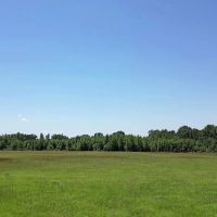 40.33 Acres Undeveloped Land De Kalb TX Bowie County