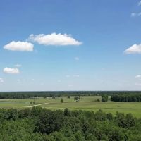 40.33 Acres Undeveloped Land De Kalb TX Bowie County images 5