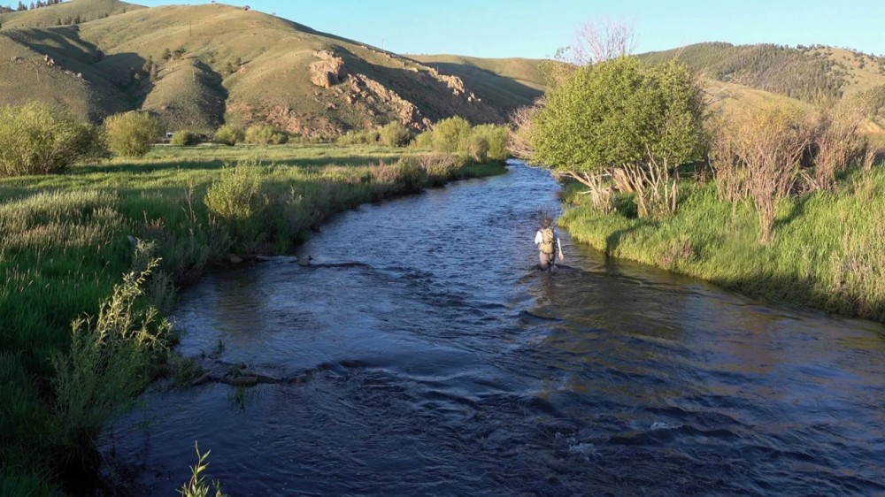 Trout Garden on Tomichi Creek featured image