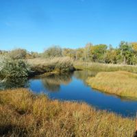 Madison Bend Ranch images 3