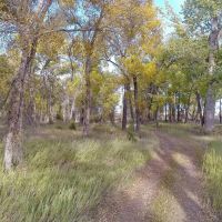 Madison Bend Ranch images 4