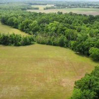 61.4 - acres Arnaudville LA 70512 images 2