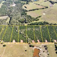 34 Acres CR 3121 T-3 through T-8 images 4