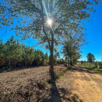 34 Acres CR 3121 T-3 through T-8 images 5