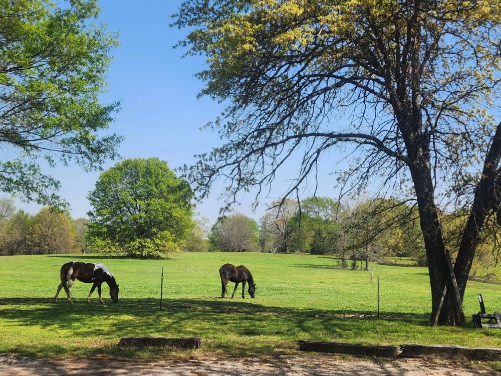 Bennington acreage featured image