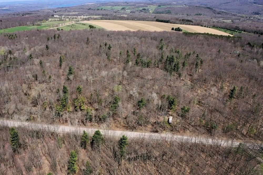 30 Wooded Acres in Springwater NY Swartz Rd featured image