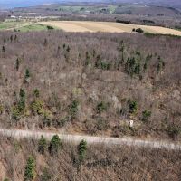 30 Wooded Acres in Springwater NY Swartz Rd