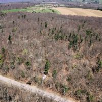 30 Wooded Acres in Springwater NY Swartz Rd images 2