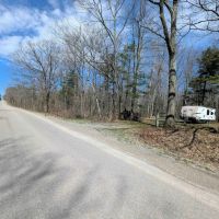 30 Wooded Acres in Springwater NY Swartz Rd images 4