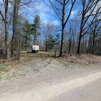30 Wooded Acres in Springwater NY Swartz Rd images 5