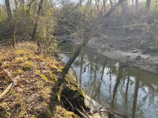 412 Acres in Rankin County on Woodrow Martin Road in Brandon MS featured image