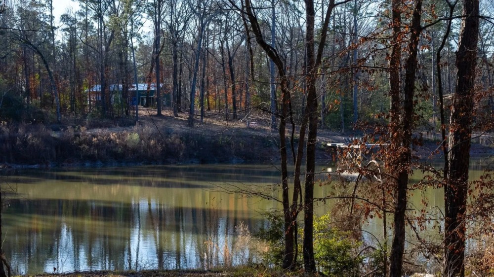 Diana Ranch - Texas Recreational Ranch for Sale in Upshur County featured image