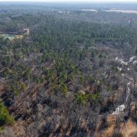 Diana Ranch - Texas Recreational Ranch for Sale in Upshur County images 3