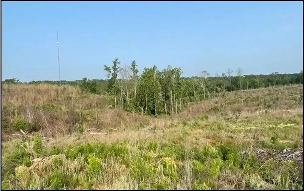 94.8 Acres in Carroll County in Carrollton MS featured image
