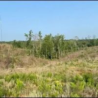 94.8 Acres in Carroll County in Carrollton MS images 1