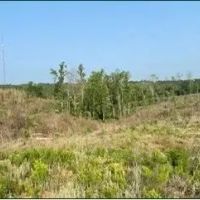 94.8 Acres in Carroll County in Carrollton MS images 4