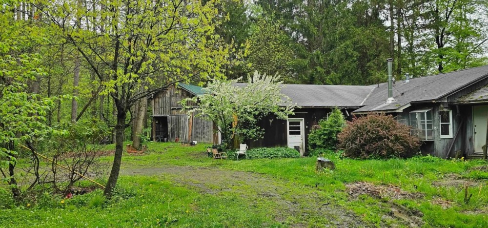 House with Barn on 16 acres bordering Owego Creek in Richford NY 210 NY-79 featured image