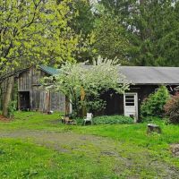 House with Barn on 16 acres bordering Owego Creek in Richford NY 210 NY-79 images 1