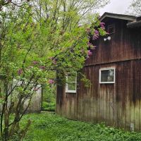 House with Barn on 16 acres bordering Owego Creek in Richford NY 210 NY-79 images 4