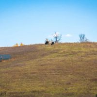 163 - Acres in Bible Grove MO images 3
