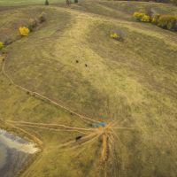 163 - Acres in Bible Grove MO images 5