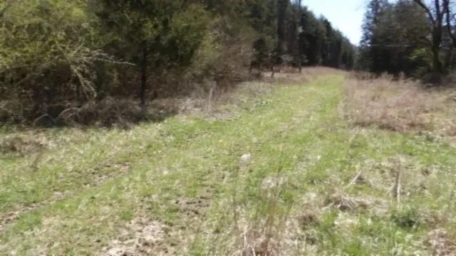 Baugh Hollow Rd Lot 6 featured image