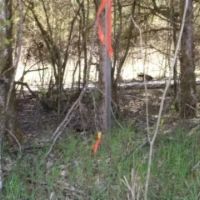 Baugh Hollow Rd Lot 6 images 2