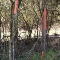 Baugh Hollow Rd Lot 6 images 3