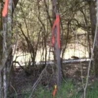 Baugh Hollow Rd Lot 6 images 4