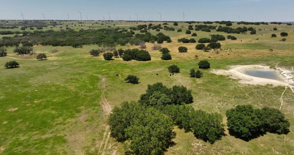 Green Ranch featured image