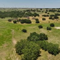 Green Ranch