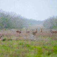 O W Ranch images 4