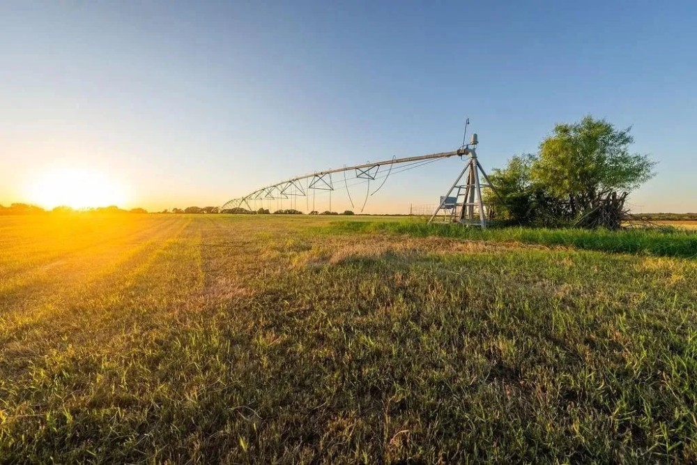 21780 FM 2156 Dublin Texas 76446 featured image
