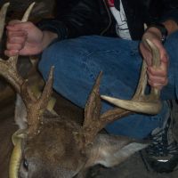 40 Acres Prime Hunting Property in St. Clair County