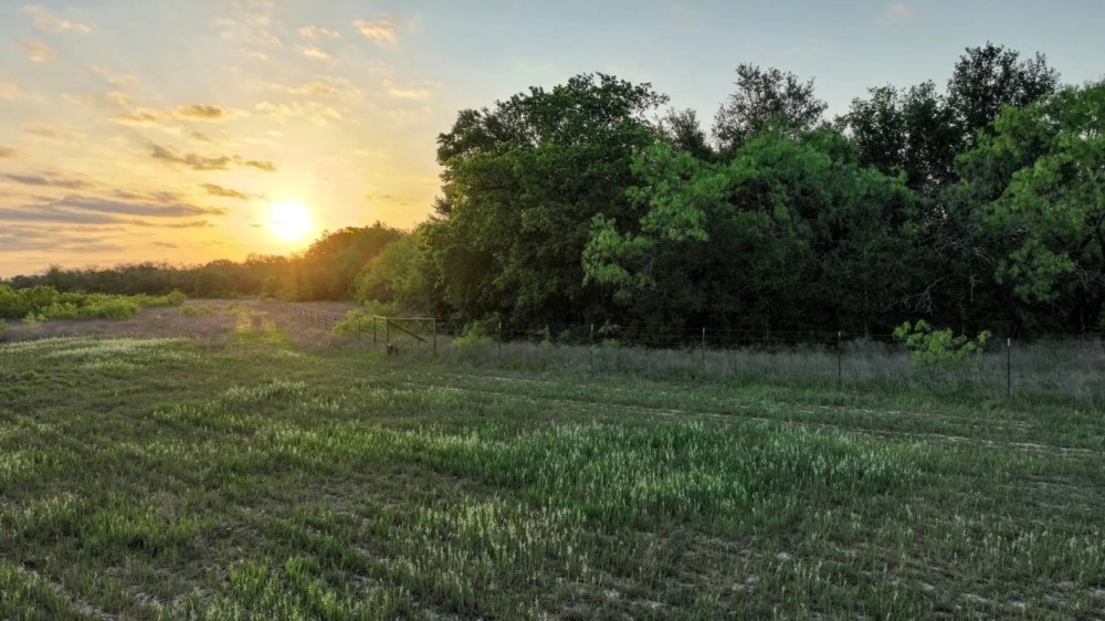 Chappell Creek Ranch featured image
