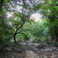 Chappell Creek Ranch images 5