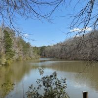 101.5 acres in Harris County with Two Lakes images 2